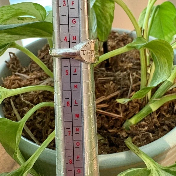 Tiffany & Co. Return to Tiffany Oval Signet Ring in Silver - Picture 9 of 9